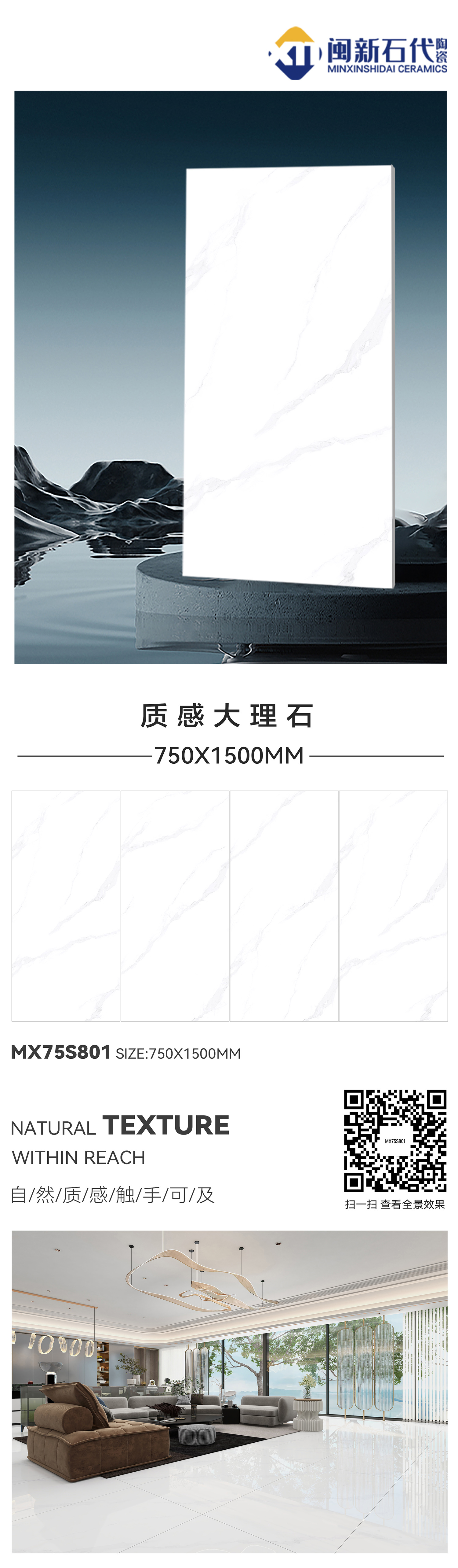 MX75S801.jpg